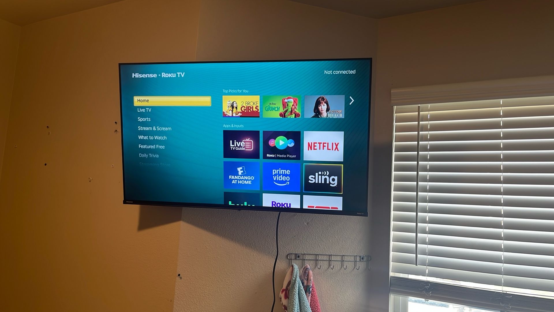 Roku Tv Hisense 