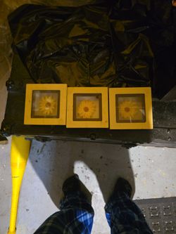 picture Frames With Flowers