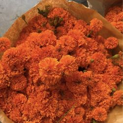 Marigold Flowers – $8 per bunch