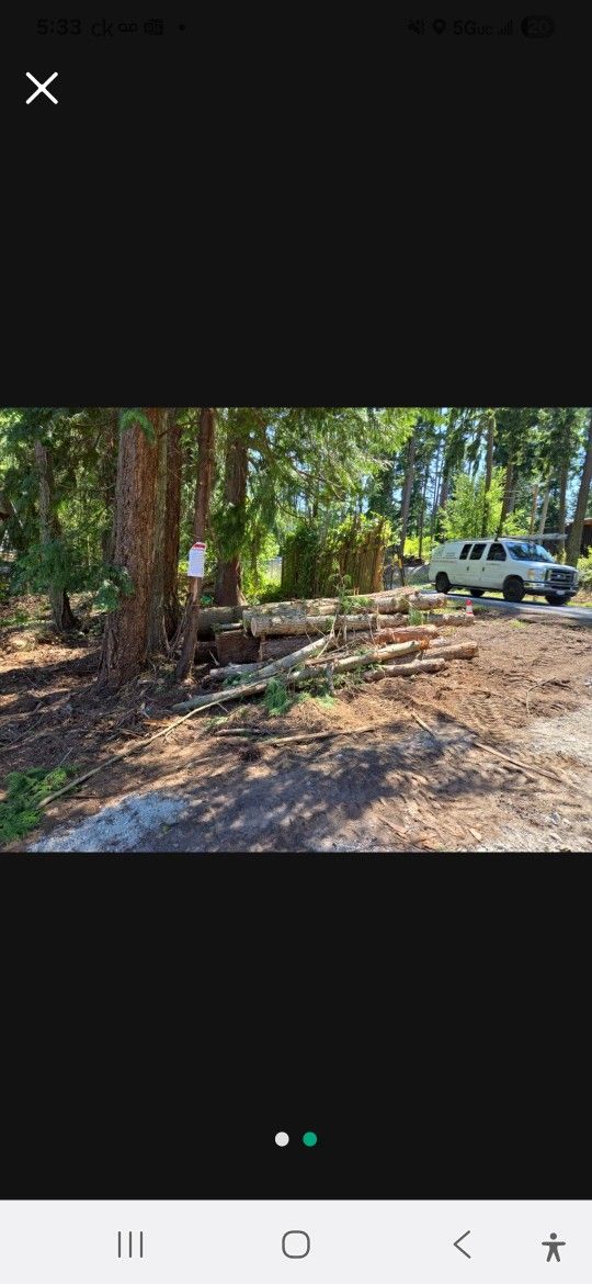 Free Firewood