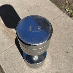 DUMBBELL  45 lbs. Single