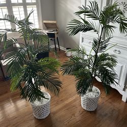 2 Artificial Fern Plants 