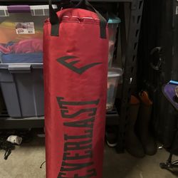 Everlast Boxing Back