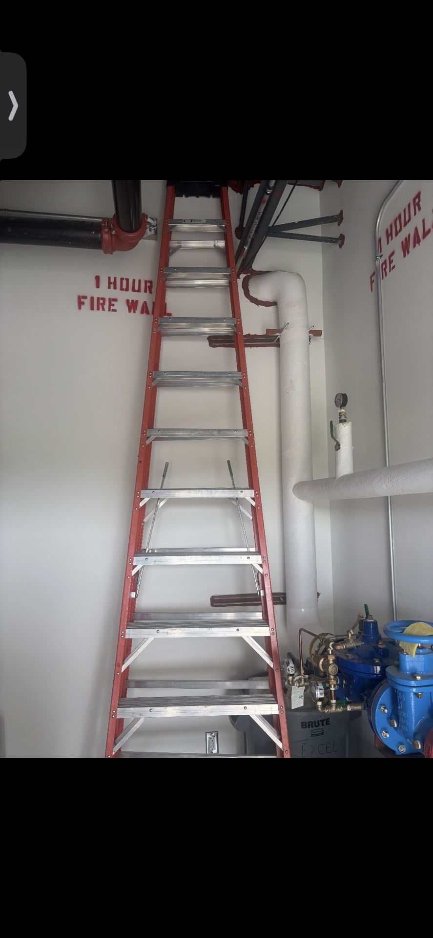 Werner 12ft Ladder
