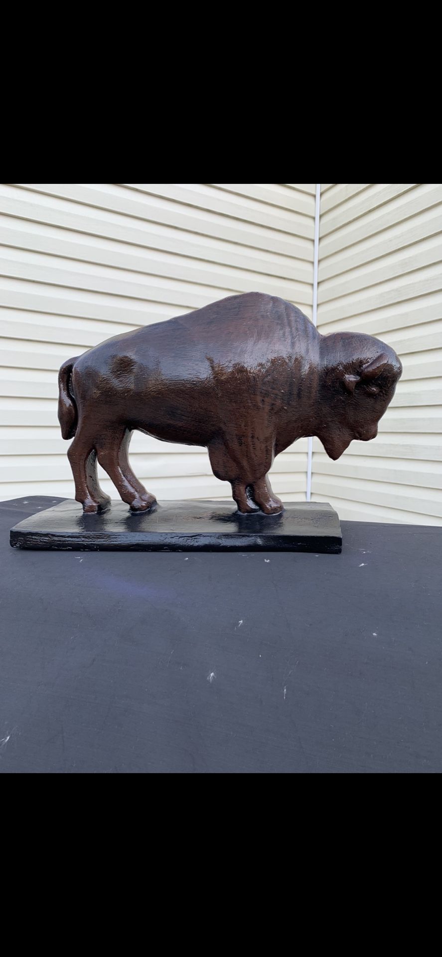 Classic Brown Buffalo