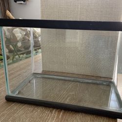 2 Gallon Fish Tank 