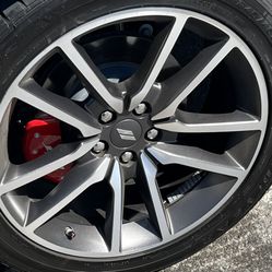 2023 Dodge Charger R/T 20 Inch Wheel