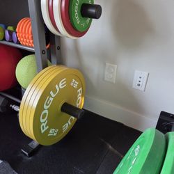 Rouge Weight Plates!
