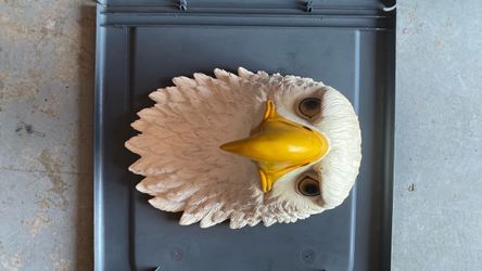 Eagle head wall hanger 15” poly resin