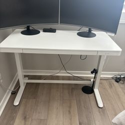 Standing/ Rising desk 