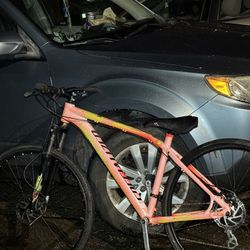 Specialized Mt Bike