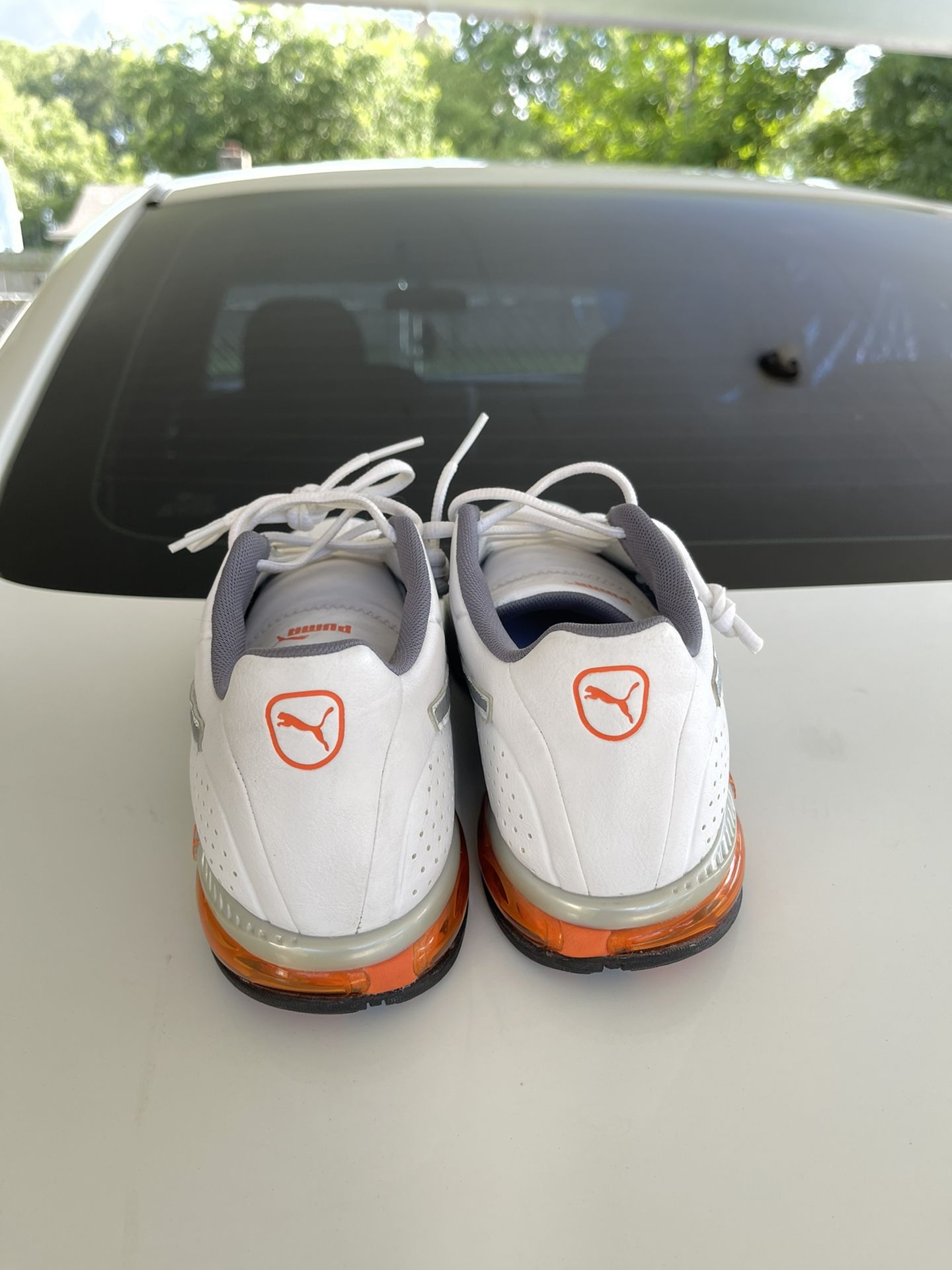 Puma