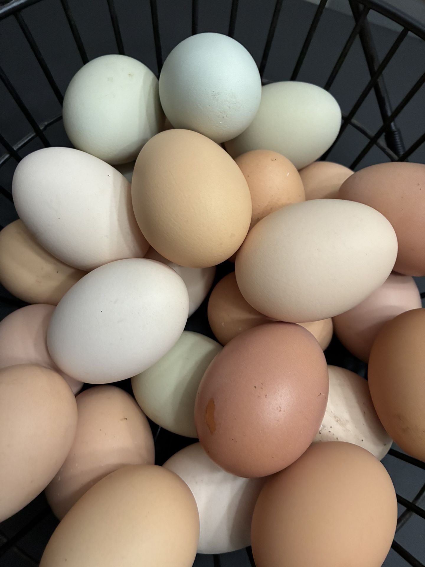 Fresh Eggs