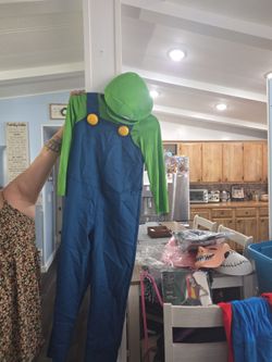 Luigi costume