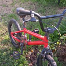 16 Inch Tony Hawk Bmx Bicycle, Coaster Brake