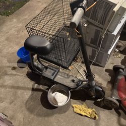 Segway Scooter 