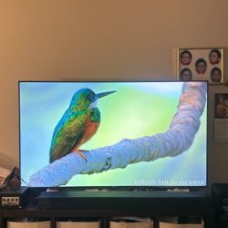 4K Tv Sony 65 And The sound bar Sony St5000