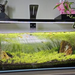 Fluval Light With Wifi Controller 