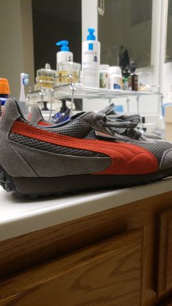 Puma