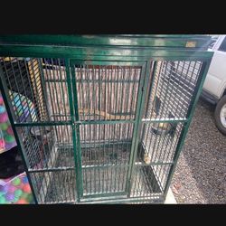Bird Cage 