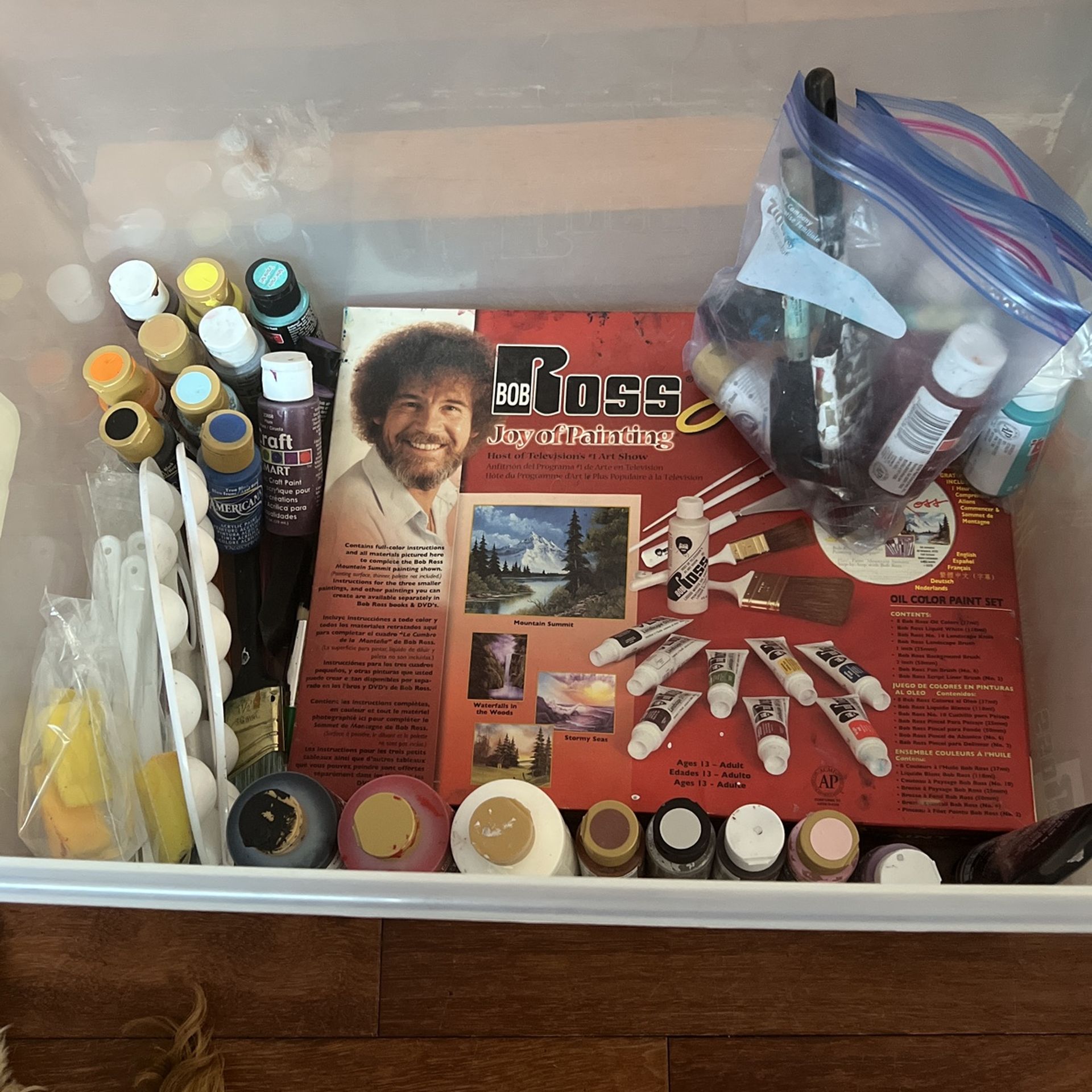 Paint Set, various acrylic and oil paints