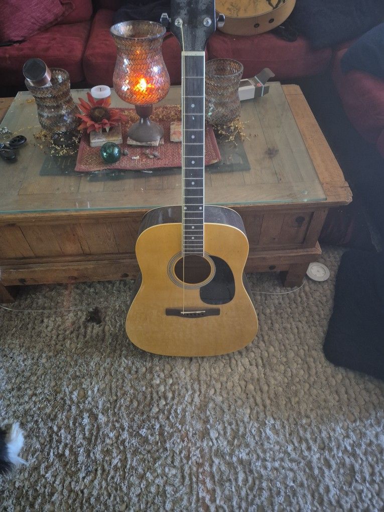 Rogue Accoustic Guitar
