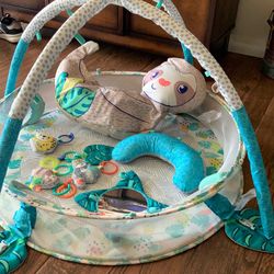 Activity Gym & Ball Pit