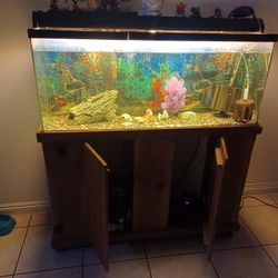 Fish Tank