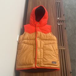 patagonia vest