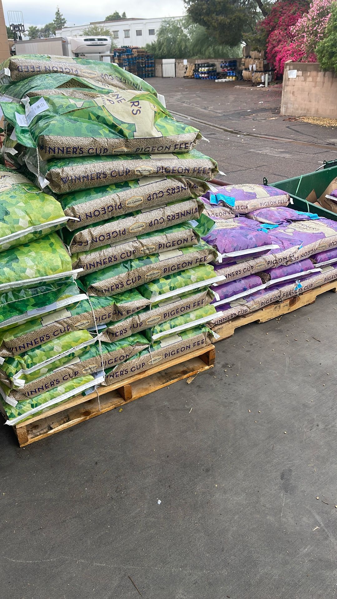 Pigeon Feed. Sells For $50-75.00 Per Bag.