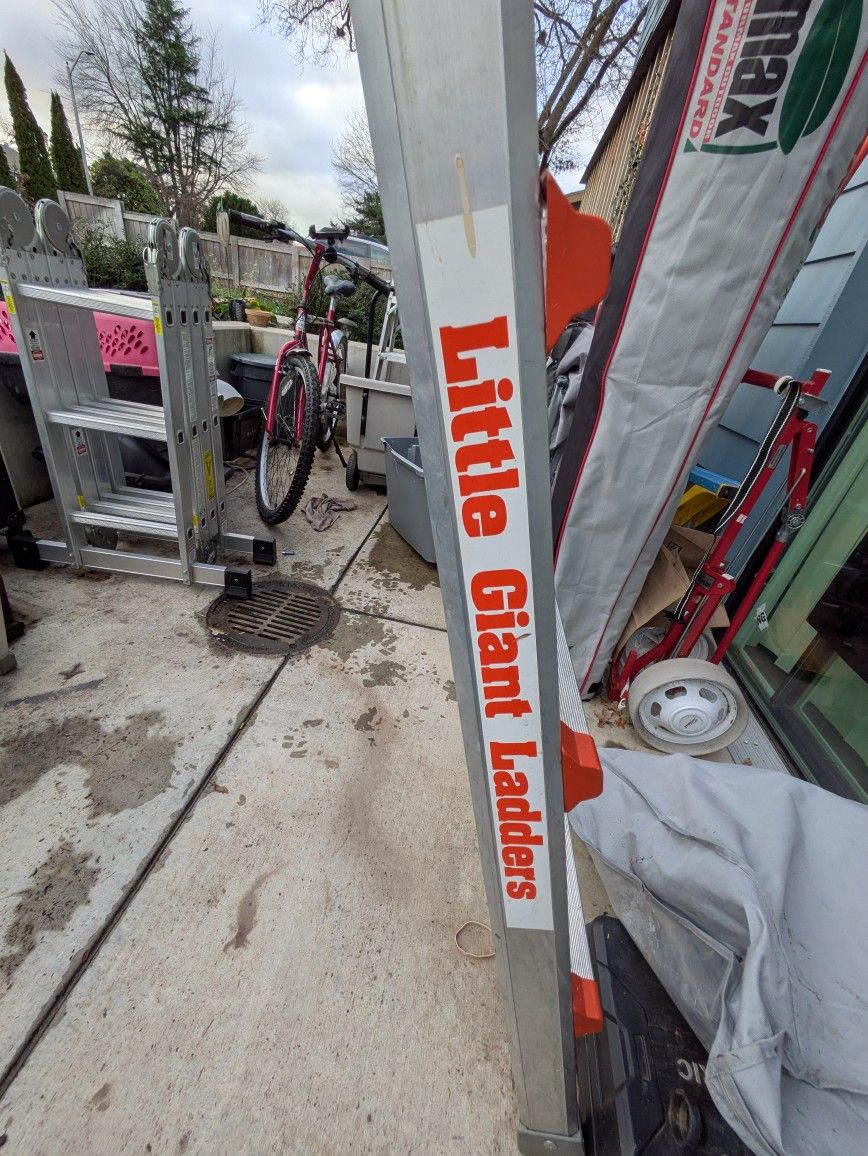 Little Giant Ladder