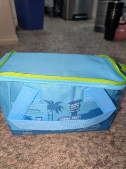 Mini Trader Joe's Cooler Bag!