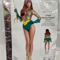 Adult Sexy Aqua-girl Size Fits S/M Costume just $8