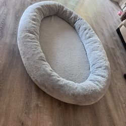 Launch Bed For Living Room