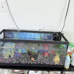 Fish tank in excellent condition, ready to use!