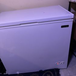Floor Freezer 