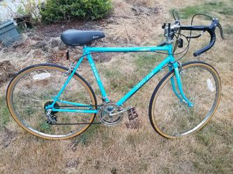 12 speed Shimano Bike