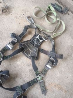 Harness
