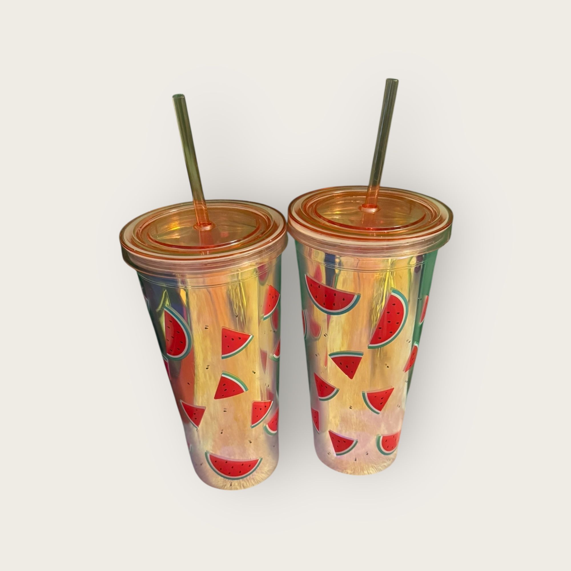 Set of 2 True Living Watermelon Tumblers – 23 oz Dollar General Brand