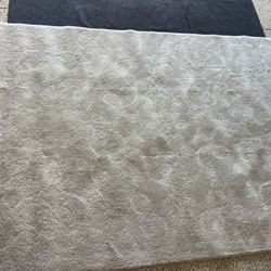 Area Rug By tonality 