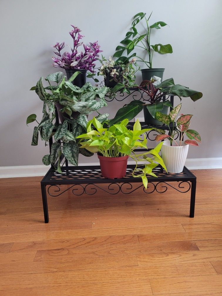 3 Step Plant Stand