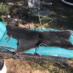 Hobby horse show chaps