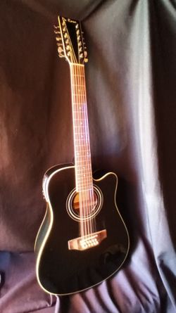 De Rosa 12 strings guitar