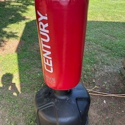 Stand-Alone Punching Bag