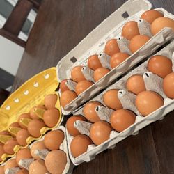 Organic Chicken Eggs 