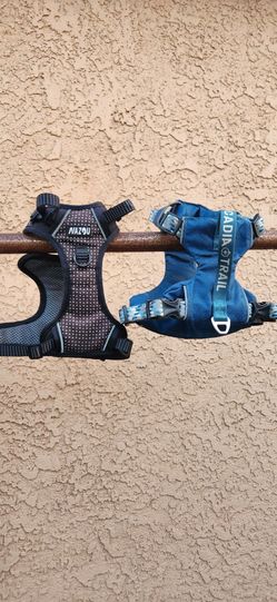 Dog Harness