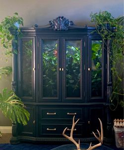 Custom Chameleon Enclosure Cage
