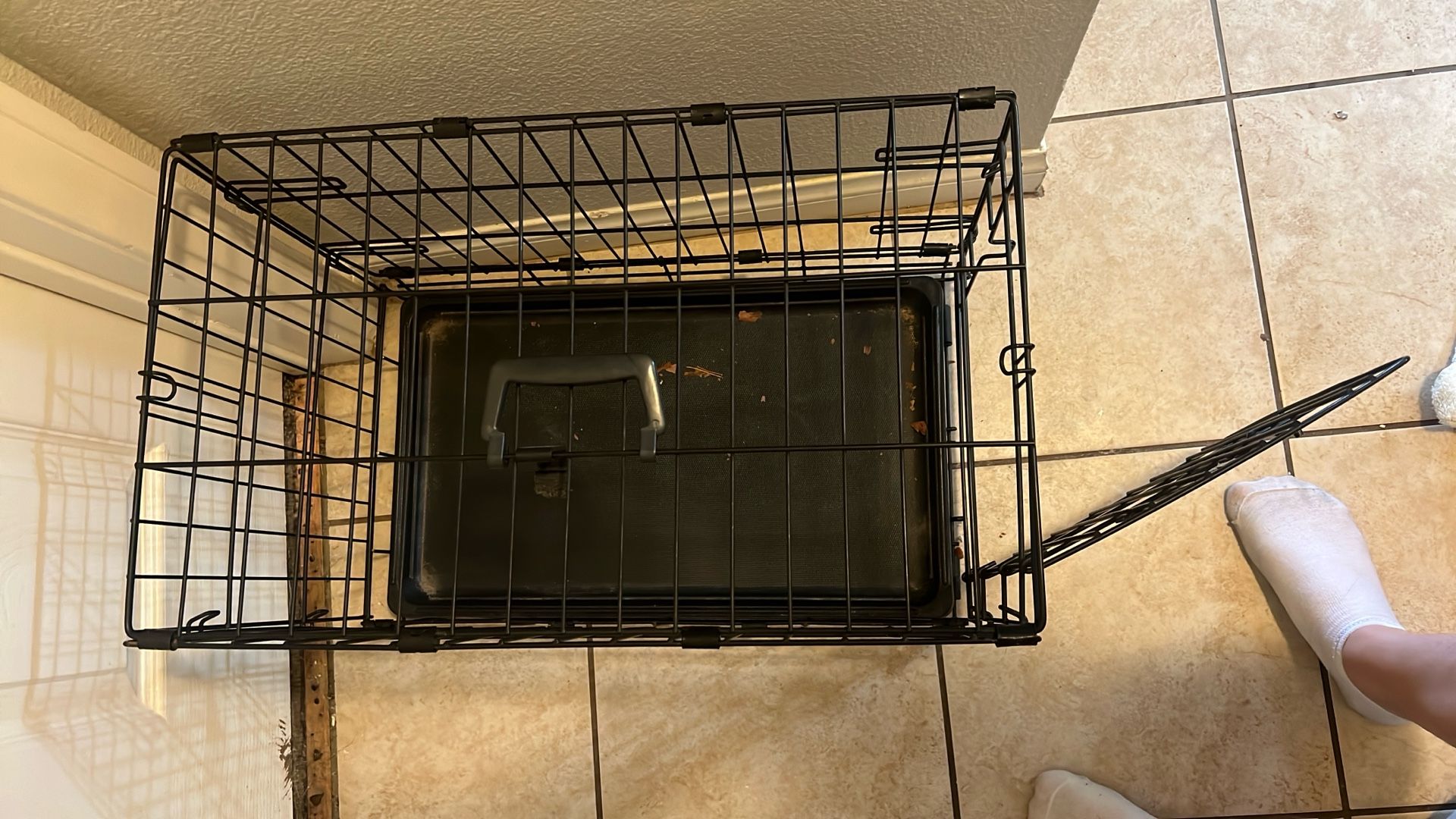Small Dog Cage