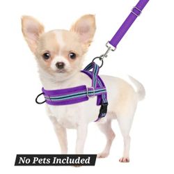 SlowTon No Pull Small Dog Harness and Leash Set
