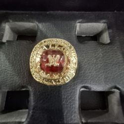 WWE Wrestling Hall Of Fame Championship Ring 